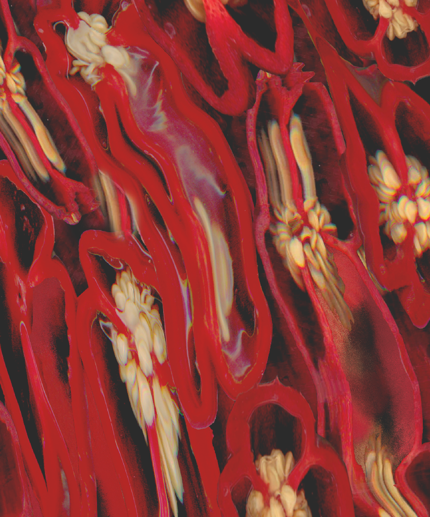 Estampado abstracto en tonos rojos creado por la maestra del curso de Diseño de Estampado en Vendali Fashion Institute, Puerto Rico